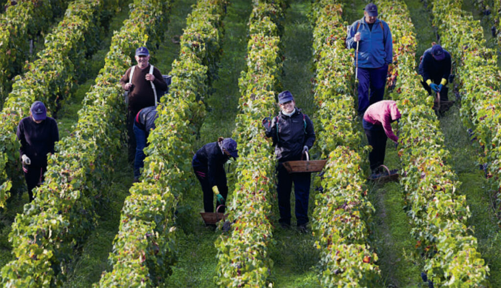 (published in falstaff Ausgabe 07/25)Frankreich ist nah